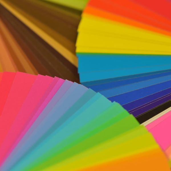 広告や宣伝のチラシのデザイン案ならいなごデザインワークスにお任せください