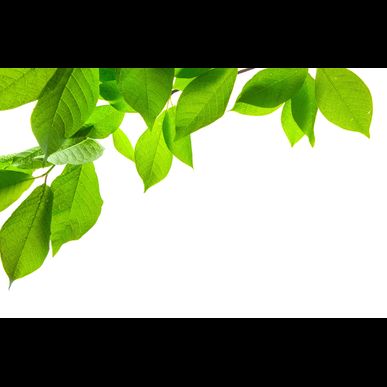 藤岡で起業をお考えの方は『いなごデザインワークス』をご用命ください。