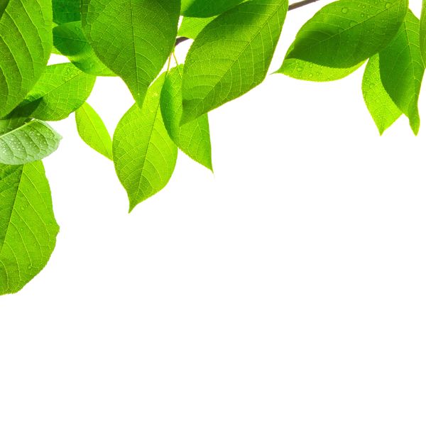 藤岡で起業をお考えの方は『いなごデザインワークス』をご用命ください。