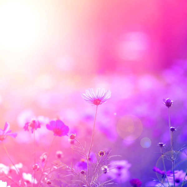 『いなごデザインワークス』は神川町で独立・開業される方を応援いたします！